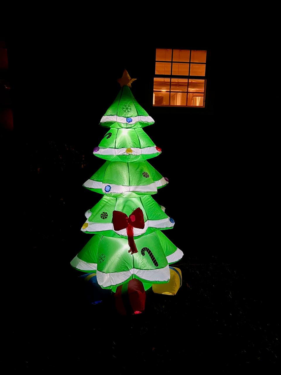 The Best Outdoor Christmas Tree
