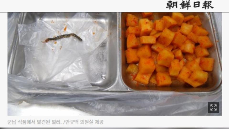 南韓軍中伙食常見頭髮、昆蟲（圖／翻攝朝鮮日報）