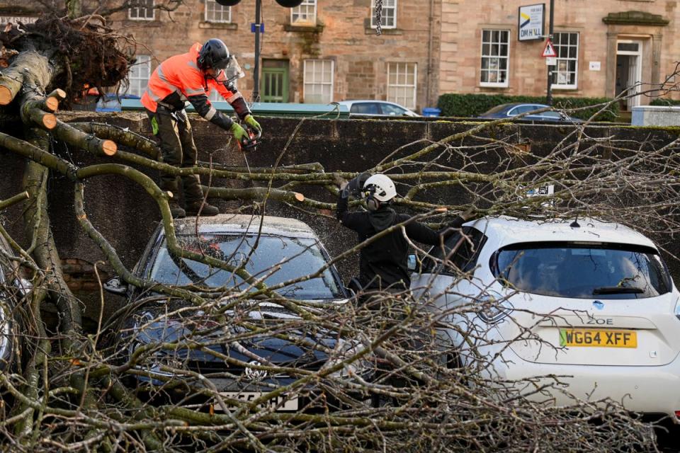 Tree surgeons remove a fallen tree from cars during Storm Isha in Linlithgow (Lesley Martin / Reuters)