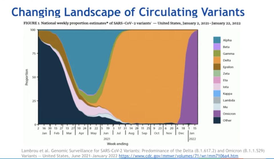 color coded chart showing how variants have changed over the course of months during the pandemic