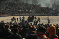 Spectators watch camels wrestling during Turkey's largest camel wrestling festival in the Aegean town of Selcuk, Turkey, Sunday, Jan. 16, 2022. They were competing as part of 80 pairs or 160 camels in the Efes Selcuk Camel Wrestling Festival, the biggest and most prestigious festival, which celebrated its 40th run. (AP Photo/Emrah Gurel)