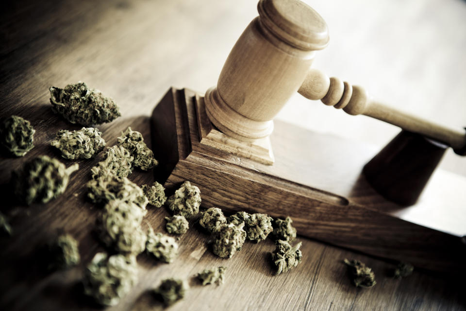 A judge's gavel next a handful of cannabis buds.