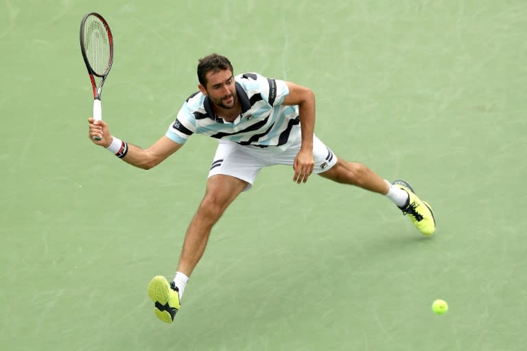 Marin Cilic will face former world number one Novak Djokovic in a semi-final clash at the ATP-WTA Cincinnati Masters