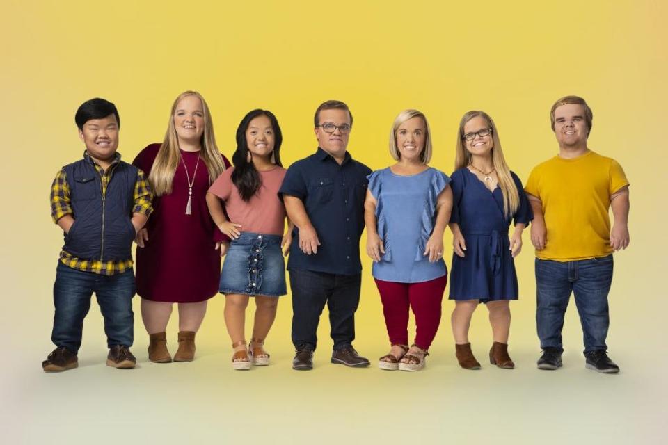 7 Little Johnstons