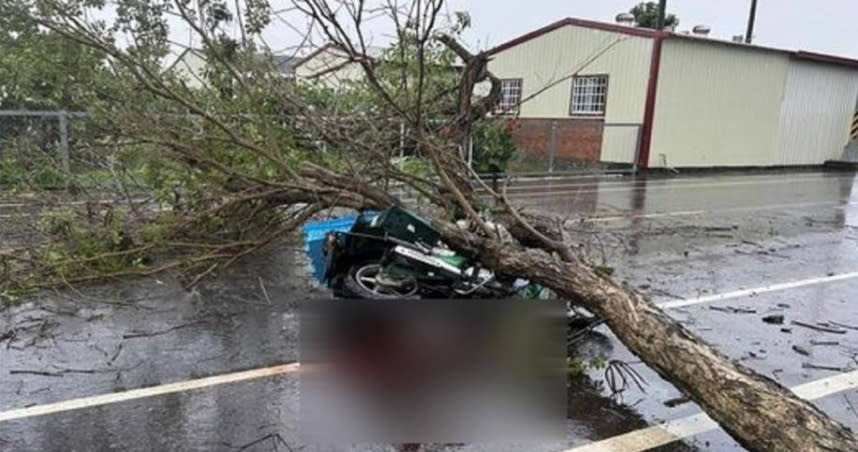 雨彈襲中台灣，彰化縣1名郵差送信途中遭傾倒路樹砸重送醫不治，親友聞噩耗一度哭到昏倒。（圖／翻攝畫面）