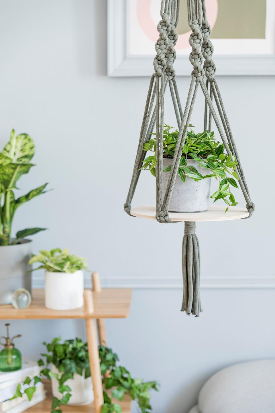 The Best Indoor Hanging Plants (That Even Black Thumbs Can't Kill)