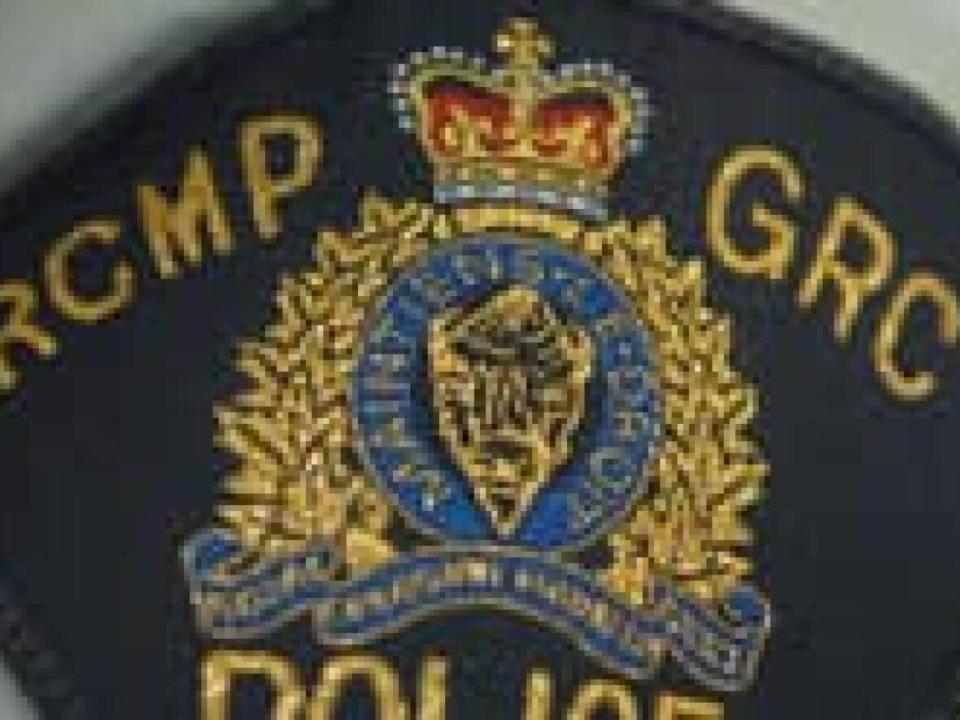 A 46-year-old Bathurst man is dead following a motorcycle crash in New Bandon on Saturday night. (RCMP - image credit)