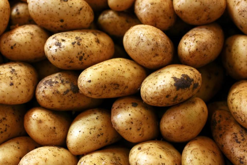Potatoes can be grown in West Texas.
