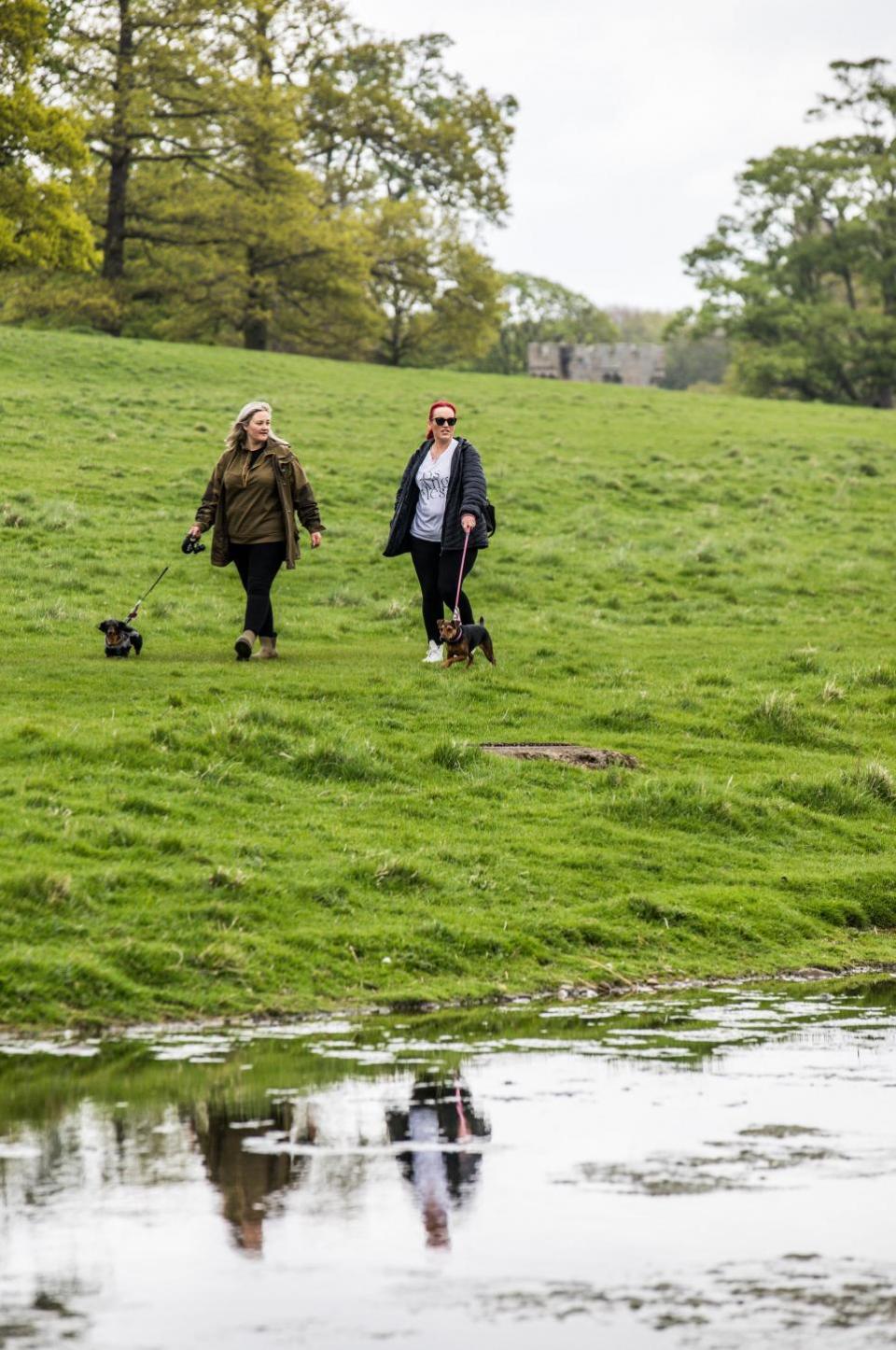 The Northern Echo: The Raby Castle Great British Dog Walk in aid of Hearing Dogs for Deaf People.