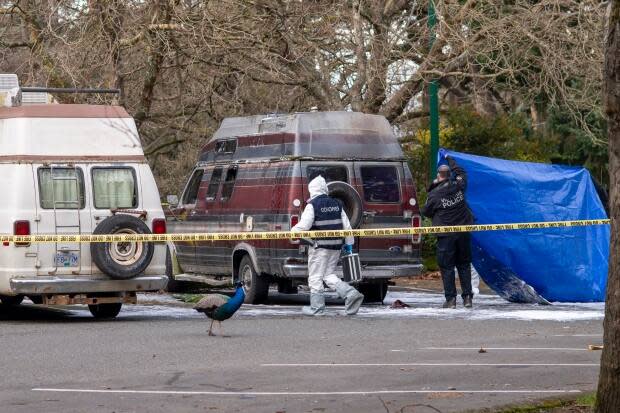 A camper van caught fire at Beacon Hill Park in Victoria on Thursday, according to police. One person was later found dead. (Kieran Oudshoorn/CBC - image credit)