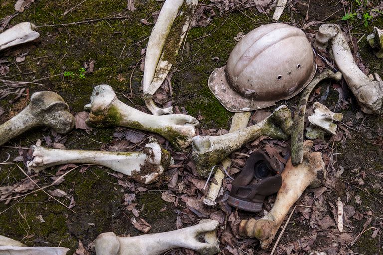 Postales de Chernobyl a 33 años del desastre nuclear