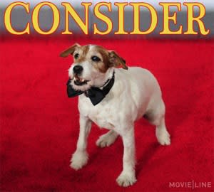 Awards Season Is Going to the Dogs, Thanks to Uggie from 'The Artist'