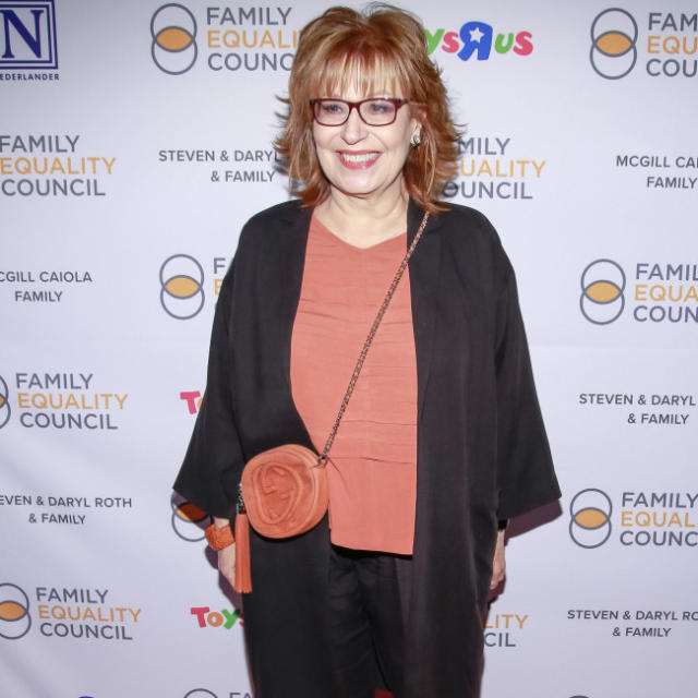 Joy Behar Ive had sex with ghosts and never got pregnant photo