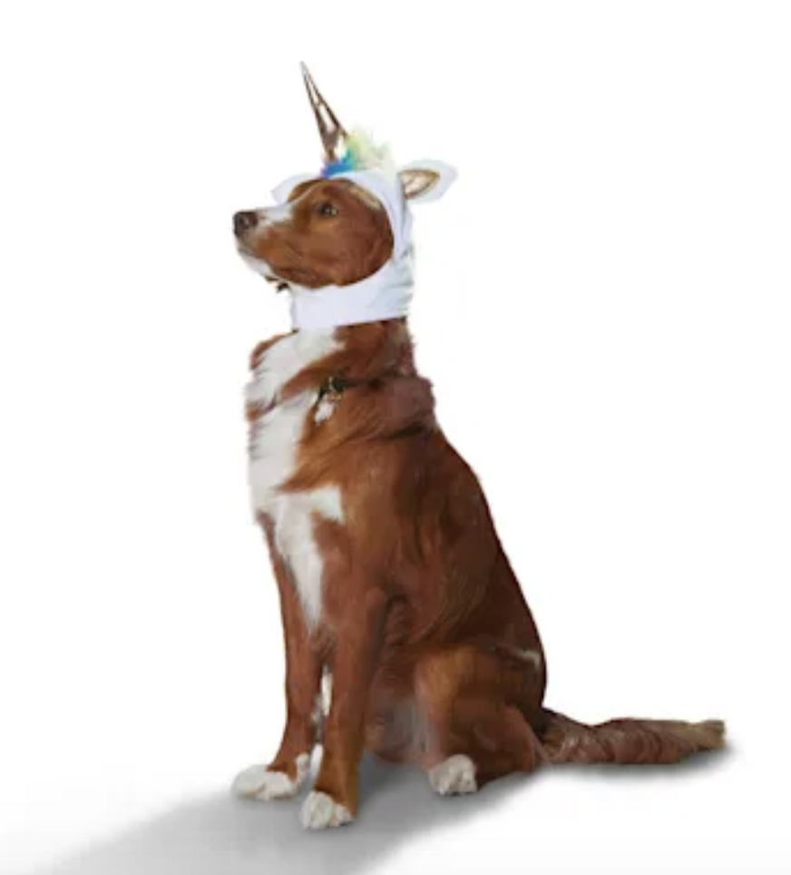 petco unicorn dog costume