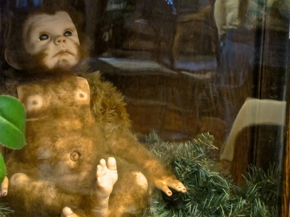 An artist's rendition of what a baby Bigfoot might look like. This is one of about 10,000 items on display at the International Cryptozoology Museum.