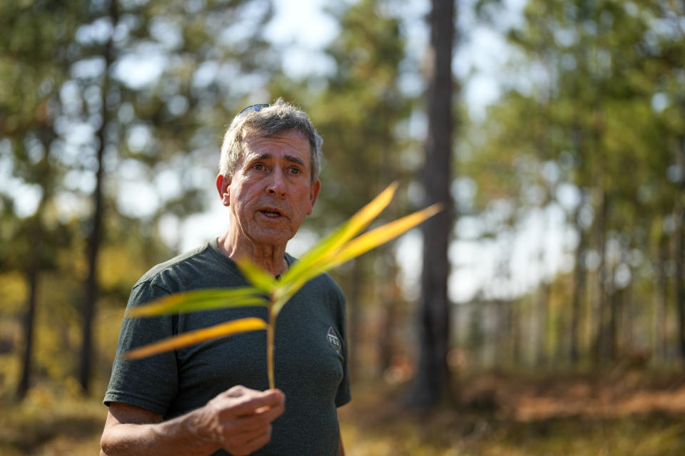 Jesse Wimberley talks about the need for a controlled burns at his property, Wednesday, Nov. 8, 2023, in West End, N.C. Grassroots forest burners are proving key to restoring a fire-loving ecosystem across the South. (AP Photo/Chris Carlson)
