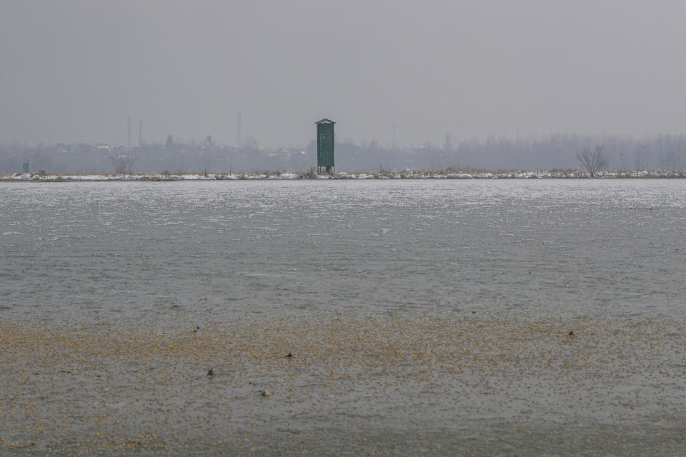 A watchtower to monitor birds is surrounded by a thick layer of frozen ice in Hokersar, north of Srinagar, Indian controlled Kashmir, Friday, Jan. 22, 2021. Wildlife officials have been feeding birds to prevent their starvation as weather conditions in the Himalayan region have deteriorated and hardships increased following two heavy spells of snowfall since December. Temperatures have plummeted up to minus 10-degree Celsius (14 degrees Fahrenheit). (AP Photo/Dar Yasin)