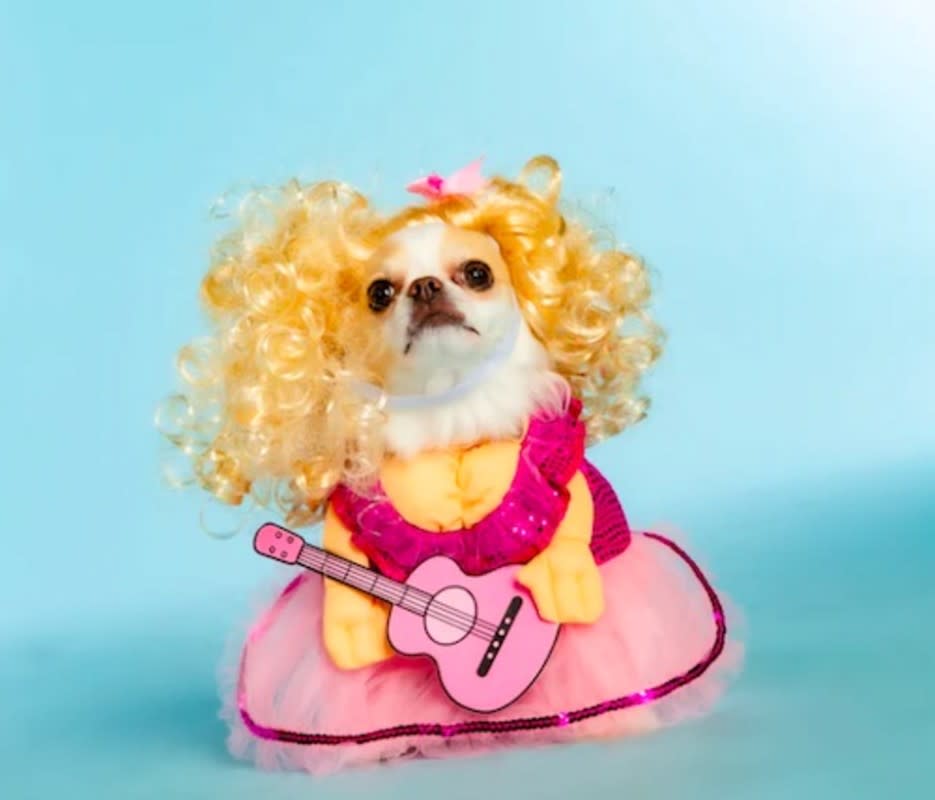 All dogs need wigs. <p>Doggy Parton.</p>