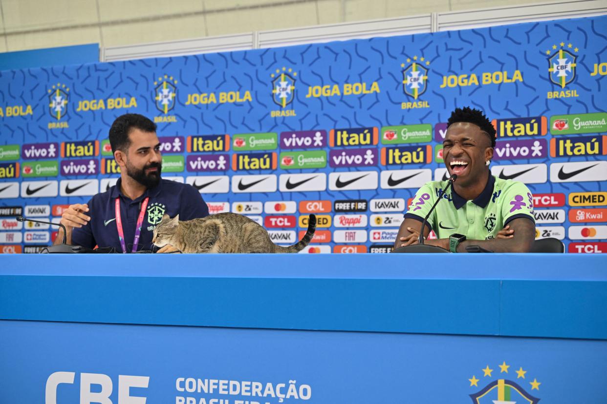  A cat climbs onto the conference table as Brazil's forward #20 Vinicius Junior laughs as he gives a press conference at the Al Arabi SC Stadium. / Credit: NELSON ALMEIDA/AFP via Getty Images