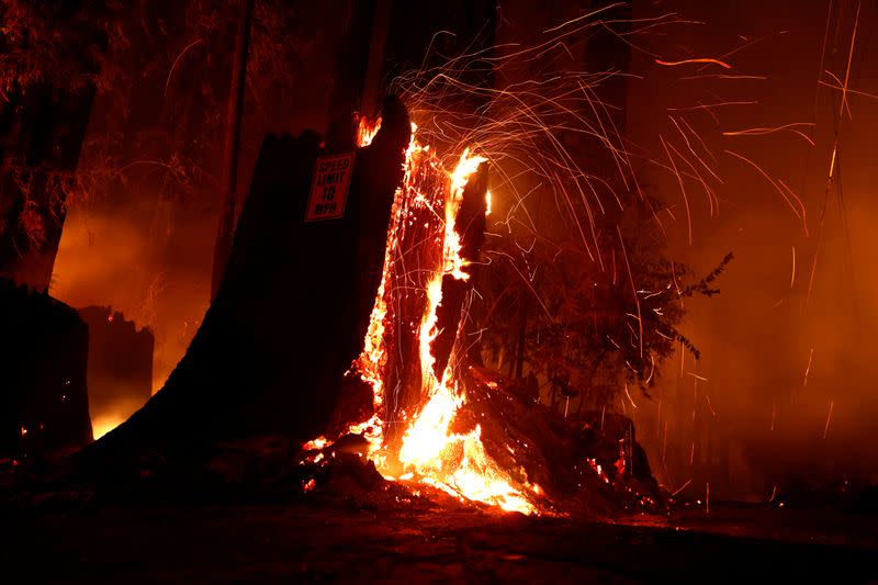 CZU Lightning Complex Fire rages in Boulder Creek