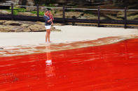 Aunque el fenómeno no está relacionado con las mareas, el término marea roja es muy popular en EEUU. (Newspix/Rex/Rex USA )