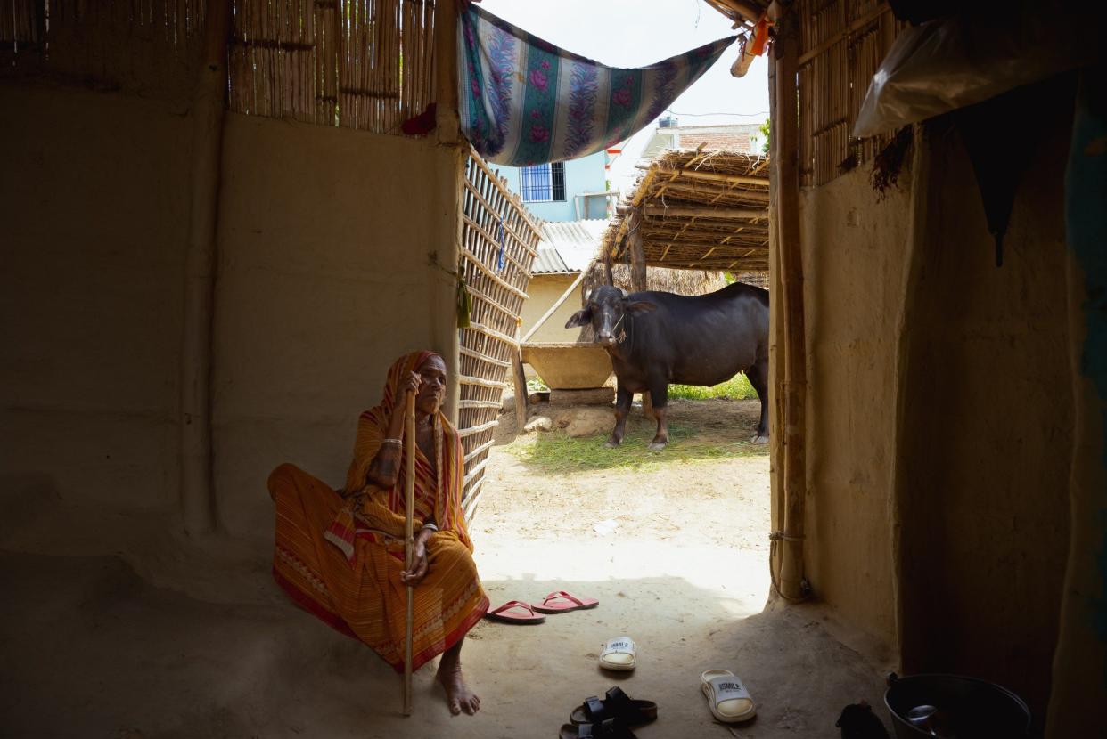 A woman inside her home in Janakpur, Nepal, gazes out on a buffalo tied to a shelter in an outside courtyard