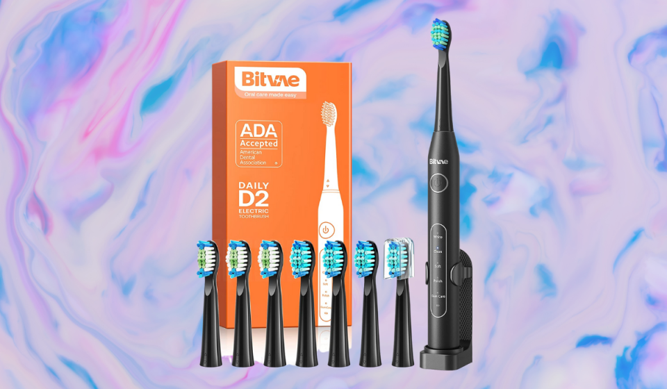 electric toothbrush with additional brush heads