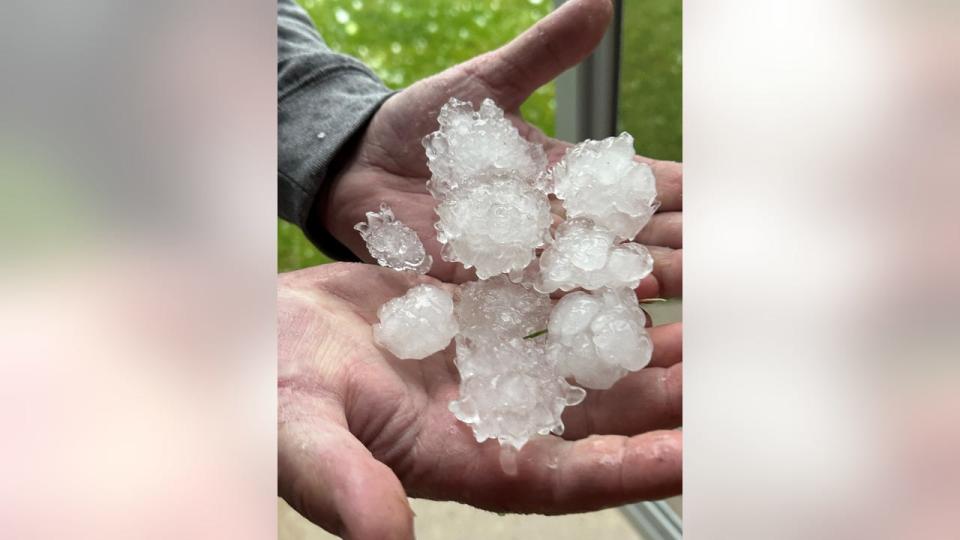 <div>Quarter to Ping-Pong Sized Hail in South Milwaukee</div> <strong>(Photo Credit: James S.)</strong>