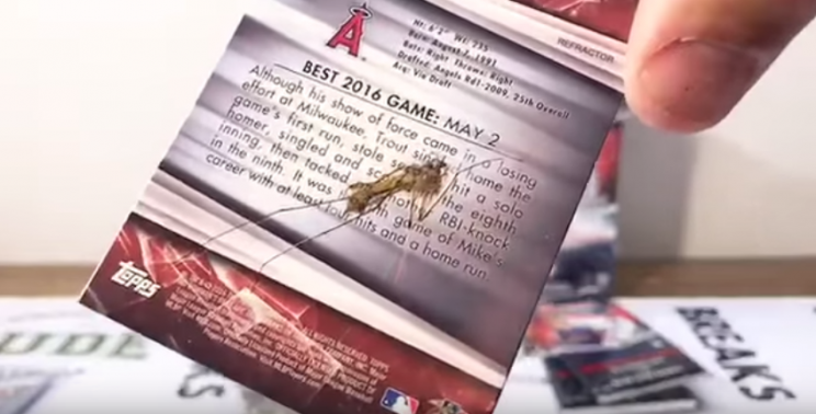 John Ehler opened a card pack to find a Mike Trout card with a surprise in it: an actual squished bug. (Youtube)