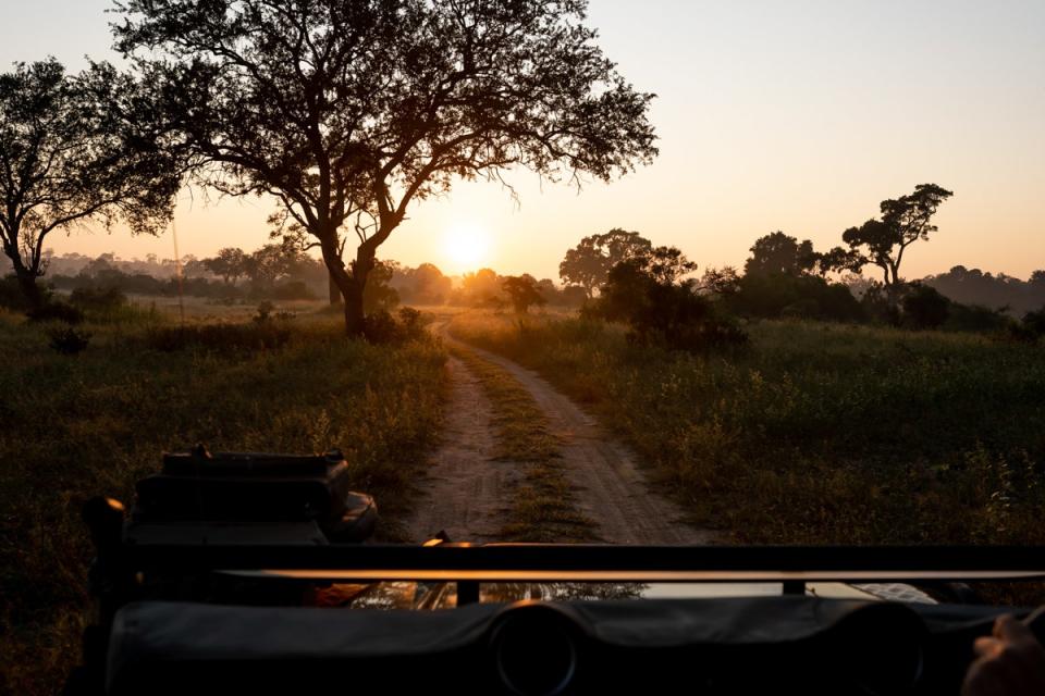 Singita in Africa is taking viewers on live-stream safari drives twice daily via its Instagram account.