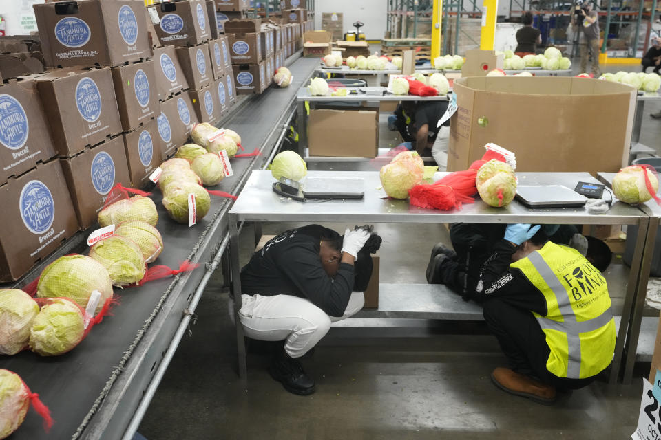 Workers participate "drop, cover, and hold on" at a ShakeOut earthquake drill at the Los Angeles Regional Food Bank in Los Angeles Thursday, Oct. 19, 2023. Up and down the West Coast, the ShakeOut drill was scheduled to begin at 10:19 a.m. PDT with a cellphone-rattling test alert from the region's ShakeAlert earthquake warning system. (AP Photo/Damian Dovarganes)