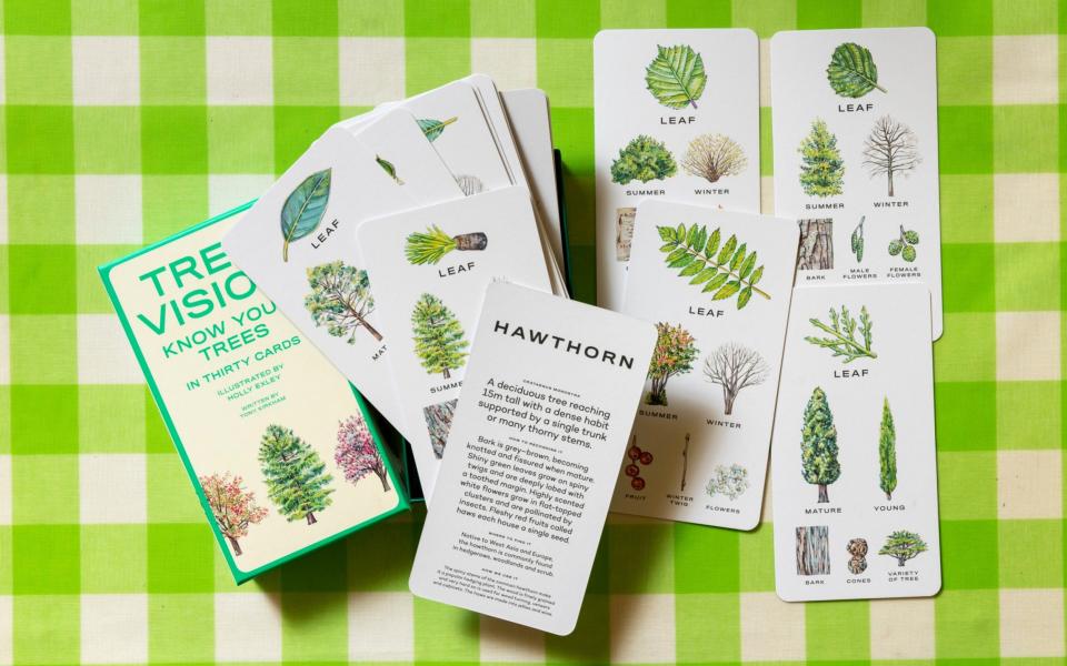 Know your stuff: Tree Vision cards -  Andrew Crowley