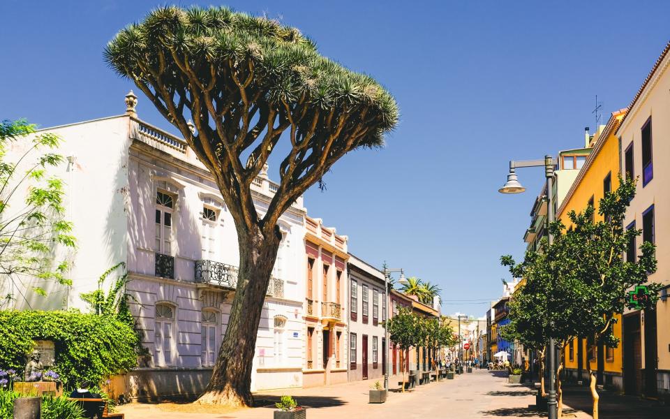 La Laguna, tenerife - Dominic Dahncke/Moment RF