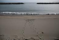 The Wider Image: Japan's tsunami survivors call lost loves on the phone of the wind