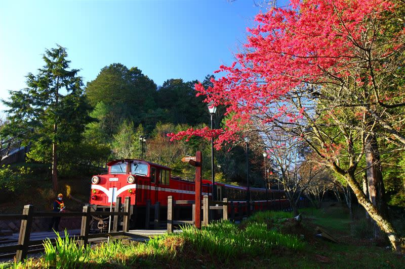 阿里山森鐵的沿途美景，總成為下次再造訪的動機。（圖／翻攝畫面）