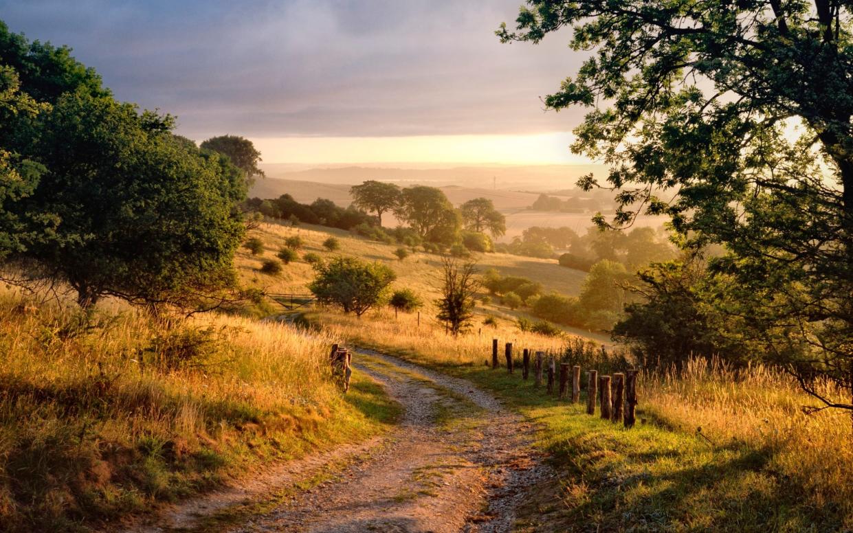 A country lane in the Chiltern Hills on the border between Hertfordshire and Buckinghamshire - GETTY IMAGES