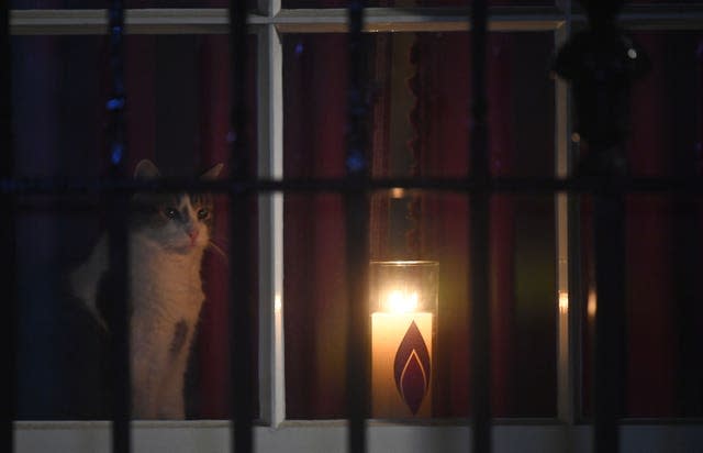 Larry the Cat sits next to a candle in a window at 10 Downing Street for Holocaust Memorial Day