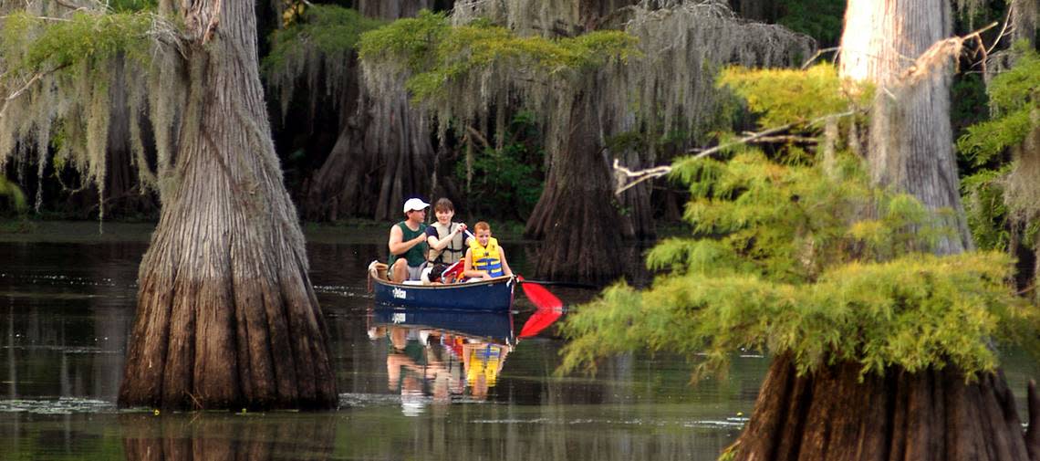 Caddo Lake TPWD