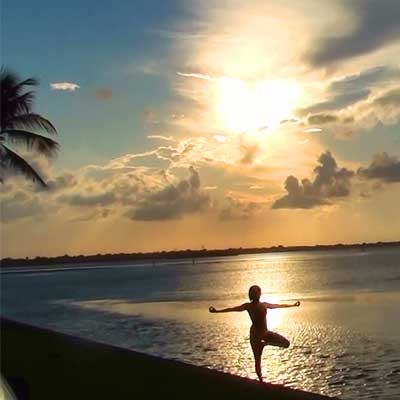 Sunset Tree Pose