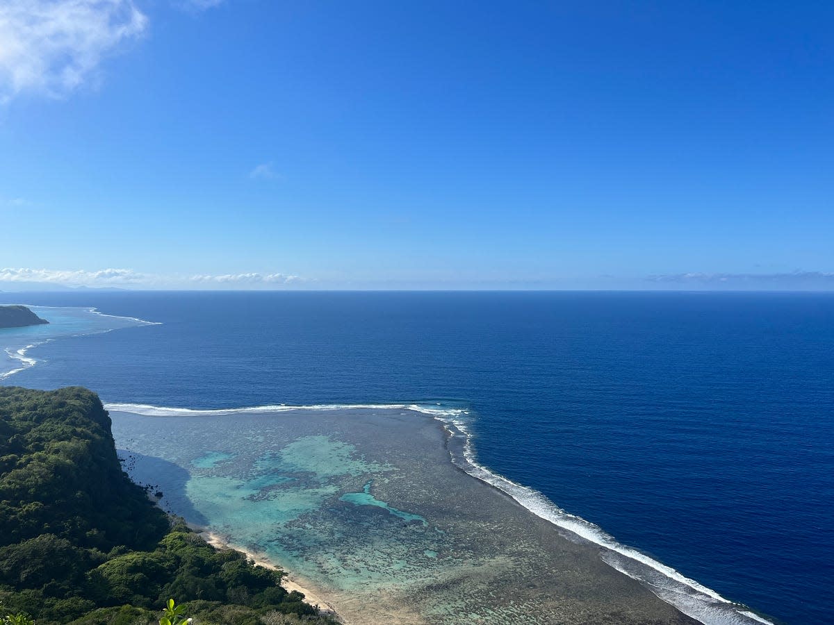 View of green forest, a beach with clear-blow water showing coral beneath, a dark-blue ocean, and bright-blue sky