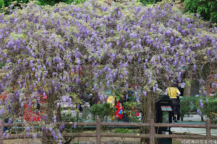 桃園｜大湖紀念公園