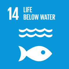 SDG 14 icon: Life below water