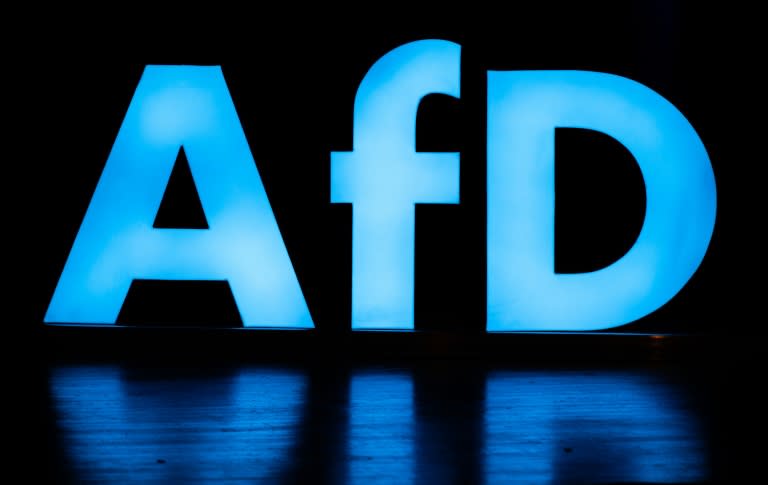 Der Landesverband der AfD in Bayern darf beobachtet werden. (Bild: SILAS STEIN)