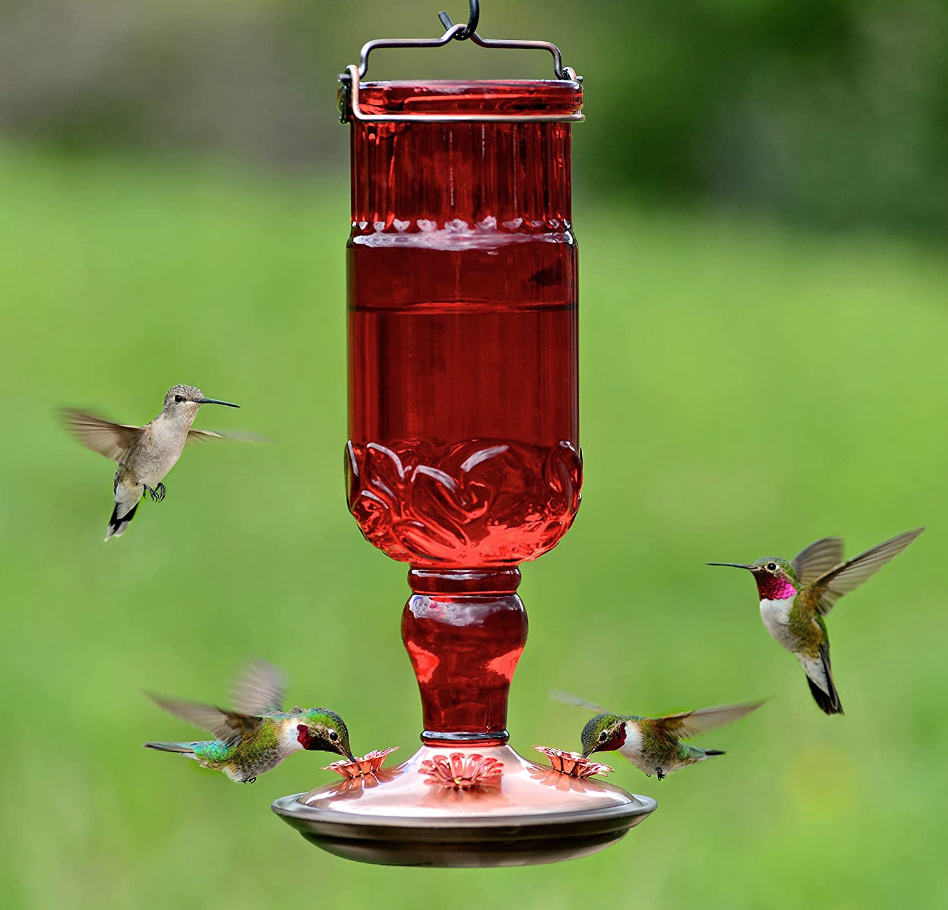 <p><a href="https://www.amazon.com/Perky-Pet-8119-2-Antique-Bottle-Hummingbird/dp/B007UII372?tag=syn-yahoo-20&ascsubtag=%5Bartid%7C10055.g.19644878%5Bsrc%7Cyahoo-us" rel="nofollow noopener" target="_blank" data-ylk="slk:Shop Now;elm:context_link;itc:0;sec:content-canvas" class="link rapid-noclick-resp">Shop Now</a></p><p>Red Antique Bottle Hummingbird Feeder</p><p>$18.32</p>