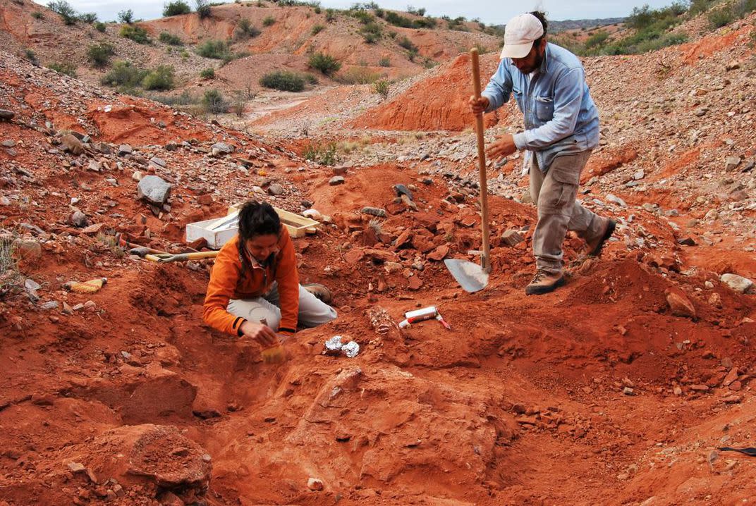 Cecilia Apaldetti and colleagues investigate the bones (Cecilia Apaldetti)