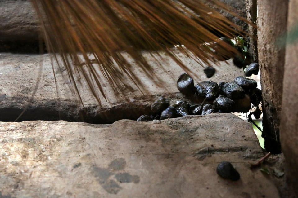 Jean Claude Niyibizi, 30, sweeps up pig poo as his wife, Christine Manirafasha, 26, (not seen,) cooks food with a grill connected to a biogas digester received via Oxfam, on November 16, 2017 in their home in Gakenke, Rwanda. Manirafasha says it is easier and quicker to cook with biogas, and that smoke had become a problem while cooking with wood. Her only adjustment, she says, was to remember to turn the gauge to the off position. Having the digester has also allowed her to develop other activities, like a chicken farm and tailoring business. (Photograph by Yana Paskova)