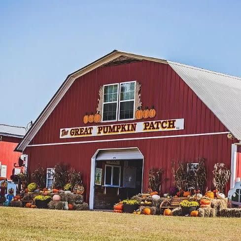 4) The Great Pumpkin Patch in Hayden, AL