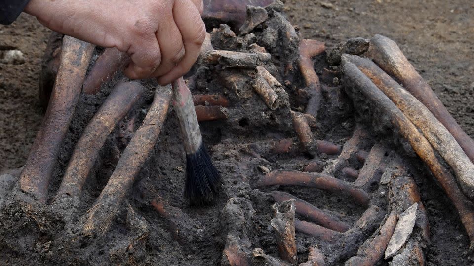 The skeletons were exceptionally well preserved due to the chalk and water in the ground. - Tom Little/Reuters