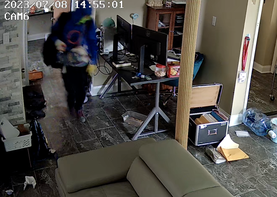 A screenshot from a video of a recent New Castle County burglary that police said was committed by South American "crime tourists."