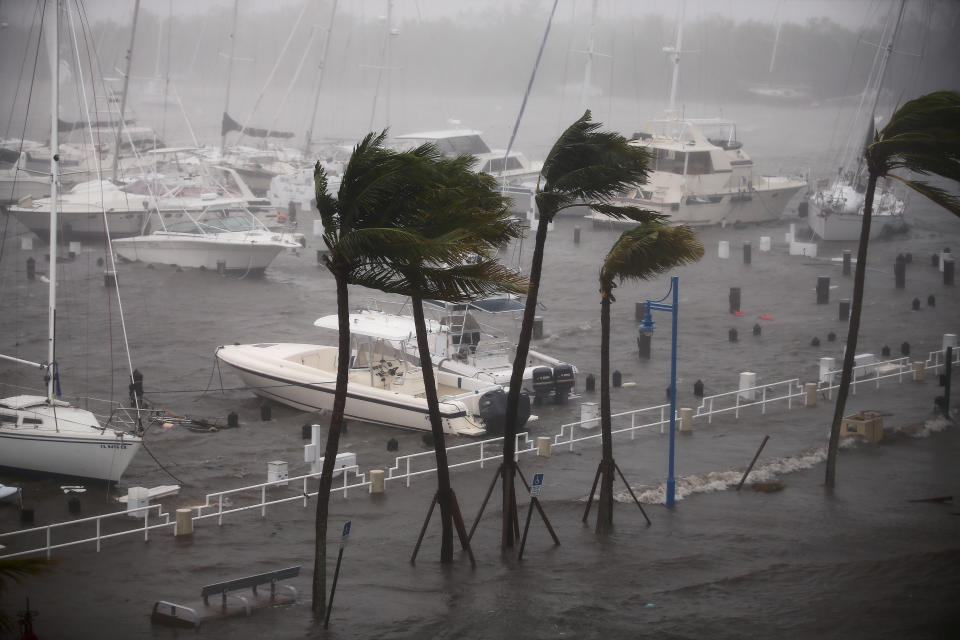 Boats at a marina in Coconut Grove